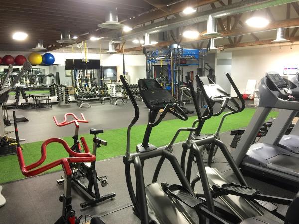 Trifit Wellness
