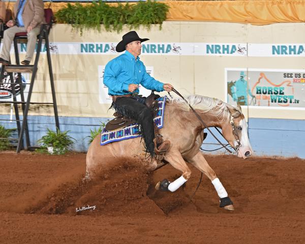 Goodman Performance Horses