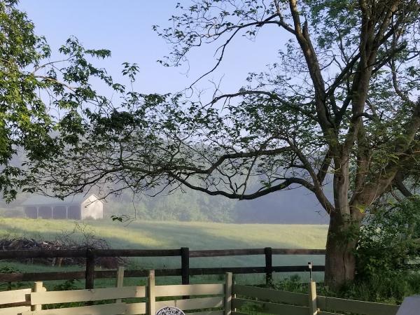 Fine Equine Stables