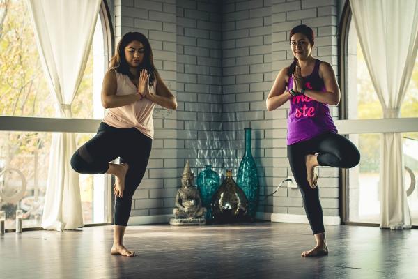 Flow Yoga and Wellness Studio