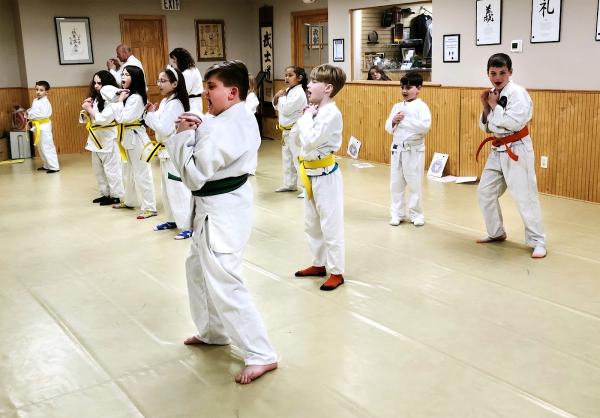 Bushido Martial Arts Academy