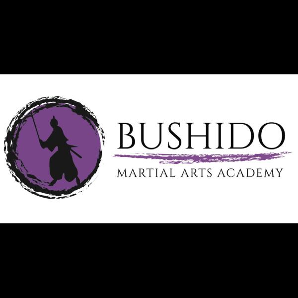 Bushido Martial Arts Academy