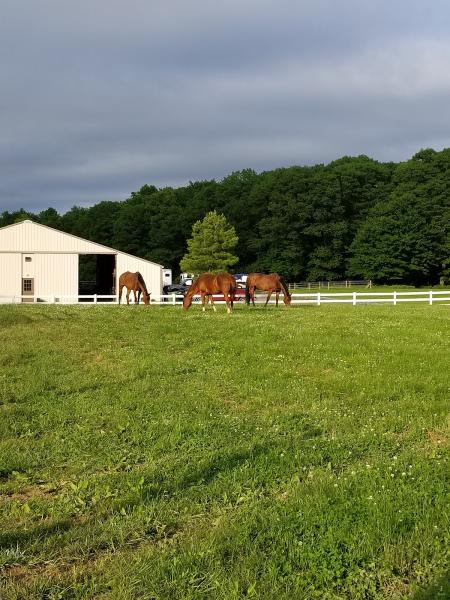 Hidden Treasure Farm