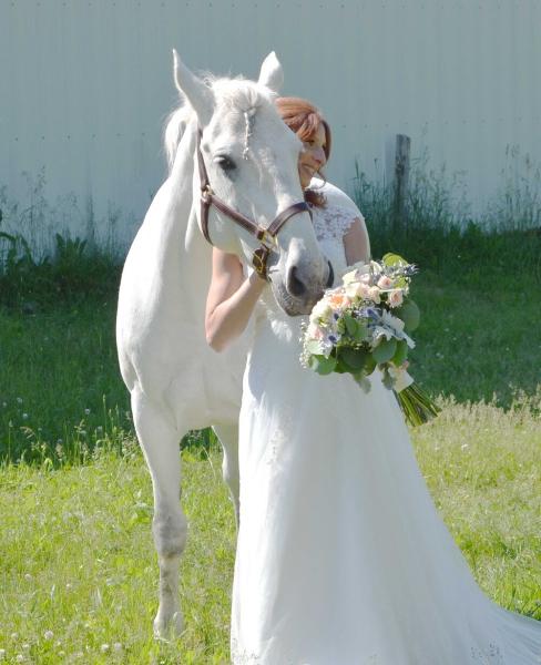 Lakewood Stables