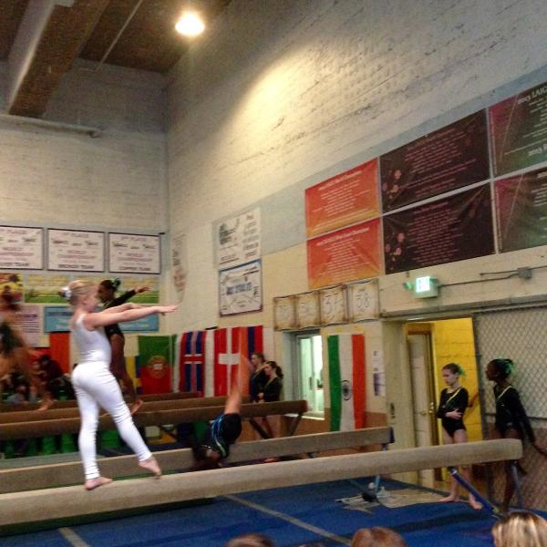 Vernon Lee Gymnastics Academy