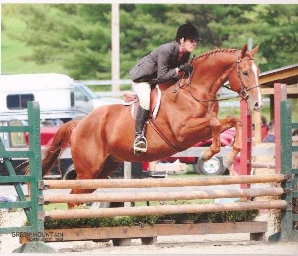 Erin Longworth Performance Horses