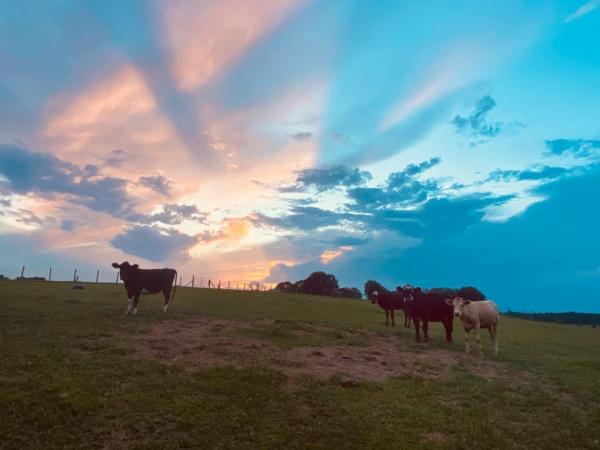 Sugaree Ranch of Horsemanship