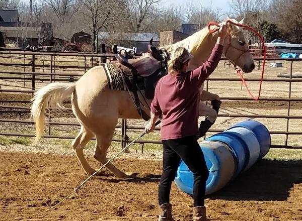 Equantumhorsmanship
