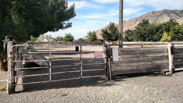 R Sharp Acres Horse Boarding and Riding Equestrian Heaven