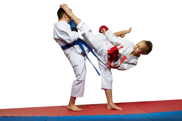 Elite Taekwondo Institute