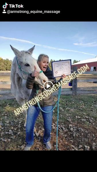 Armstrong Equine Massage Therapy