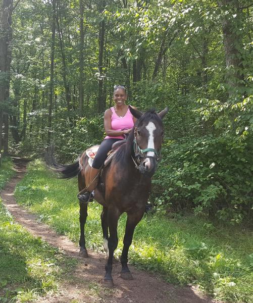 Mountain Laurel Riding Stables