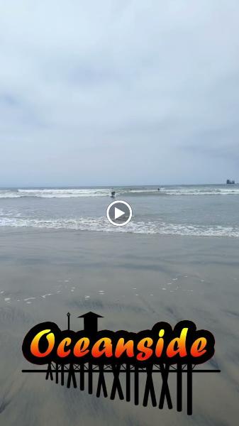 Learn to Rip Surf Lessons