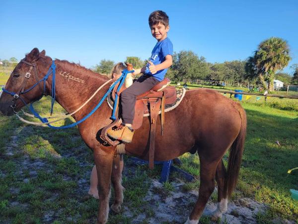 Hwlm Horsemanship