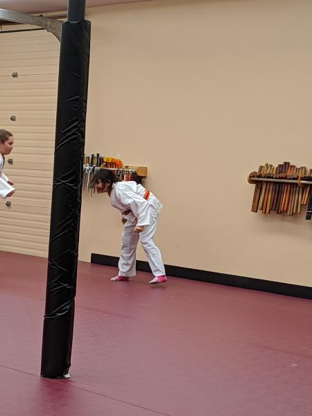 Phoenix Karate Academy
