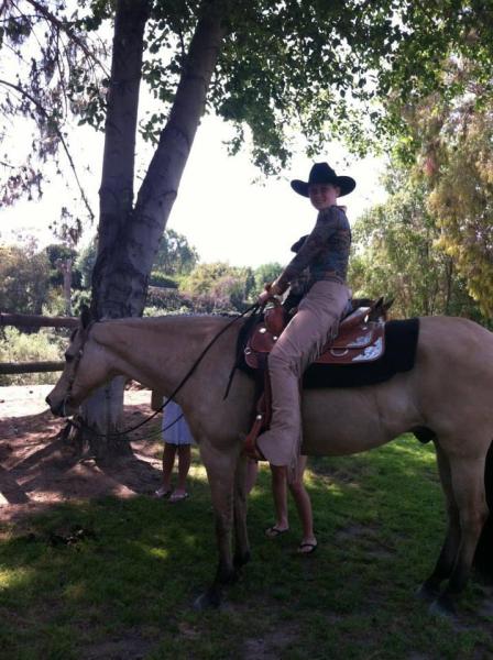 Kelly Saldivar Performance Horses