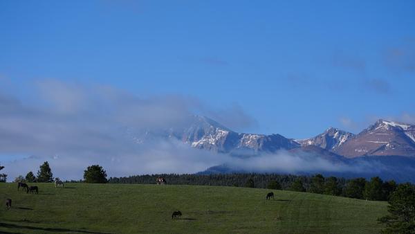 Red Tail Ranch Equestrian Center and Boarding