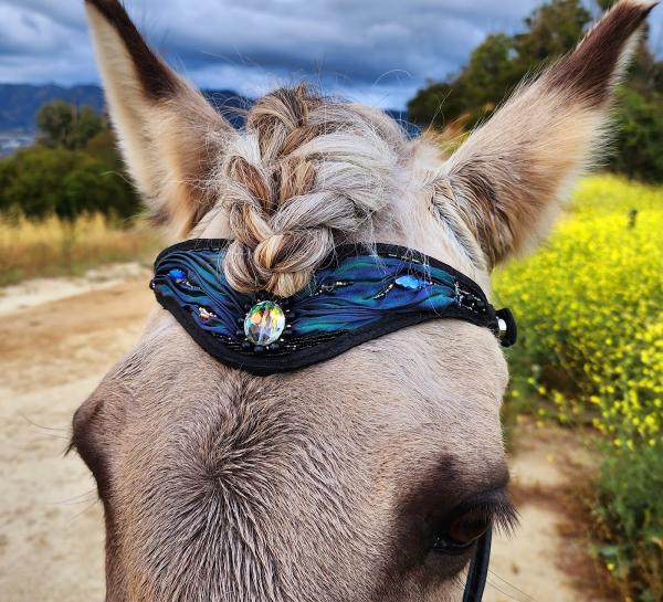 Good Pony