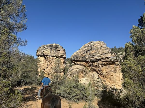 Snow Canyon Trail Rides