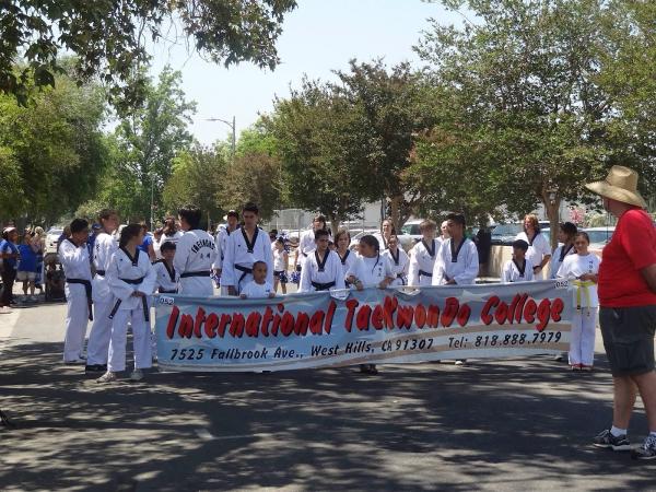 International Taekwondo