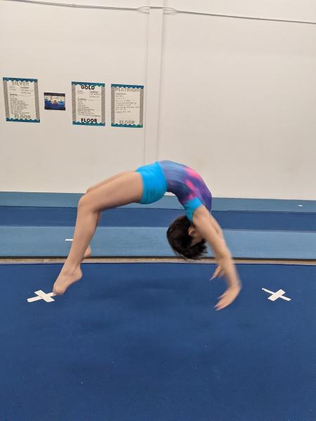 Eastlake Gymnastics