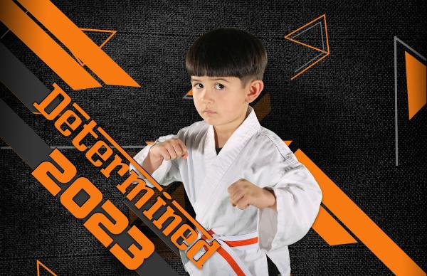 Fort Bend Taekwondo