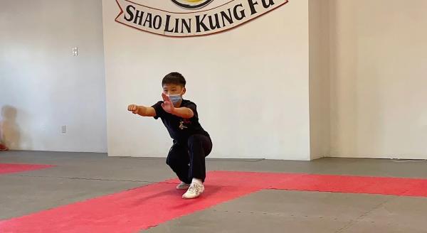 Pure Shaolin Kung Fu
