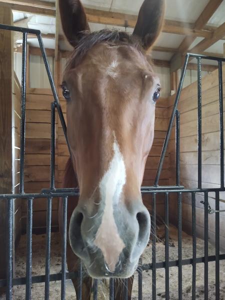 Circle B Equestrian Center