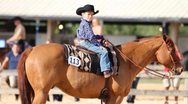 Cramer Quarter Horses