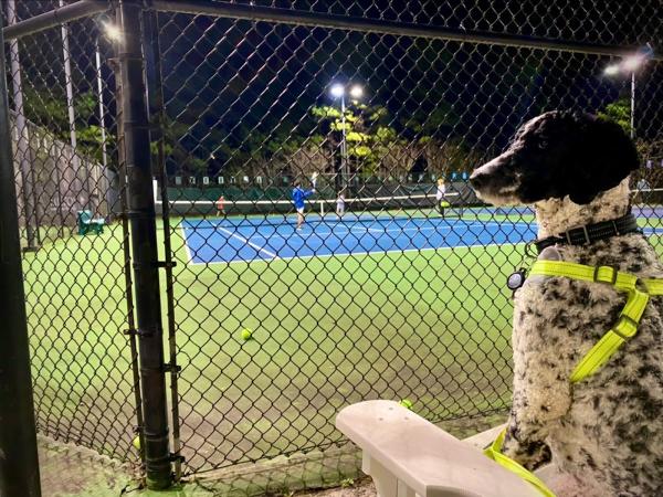 Milton Tennis Center