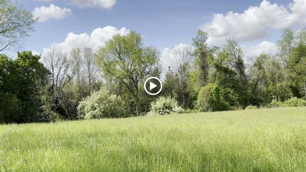 Marble Mountain Horse Estate