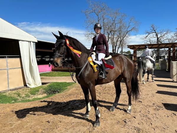 Sherwood Sporthorses Inc.