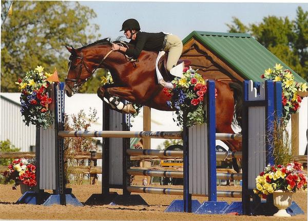 Sherwood Sporthorses Inc.