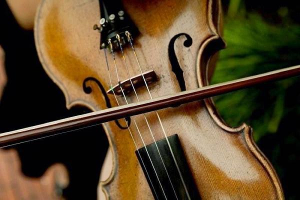 Violin and Viola Lessons Charleston SC