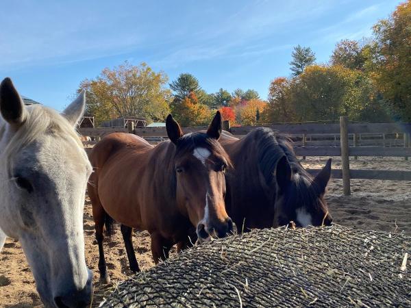 Double K Horsemanship