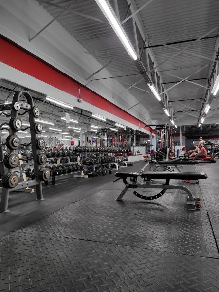 Nononsense Training & Fitness (Ntf)