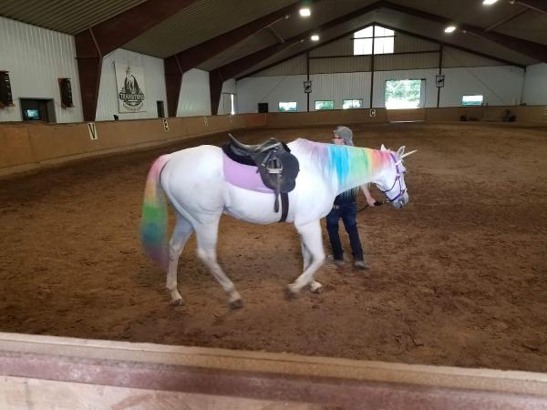 Transitions Equestrian Center