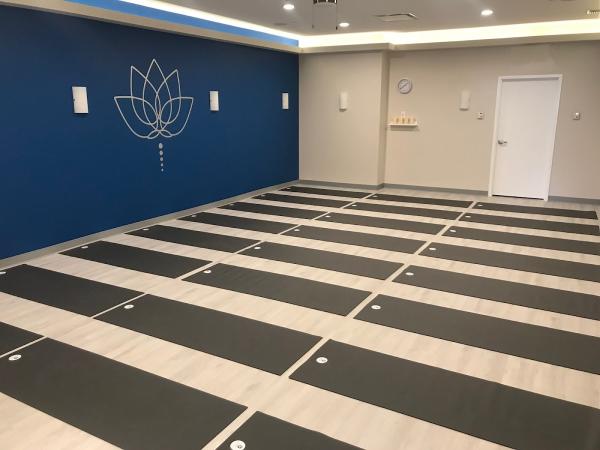 Blue Lotus Yoga Studio