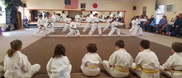 Pelletier's Karate Academy