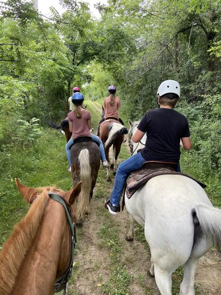 Wedgewood Riding Center