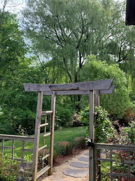 Willow Tree Yoga