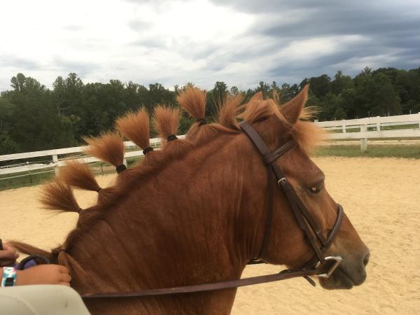 Yonahlossee Saddle Club