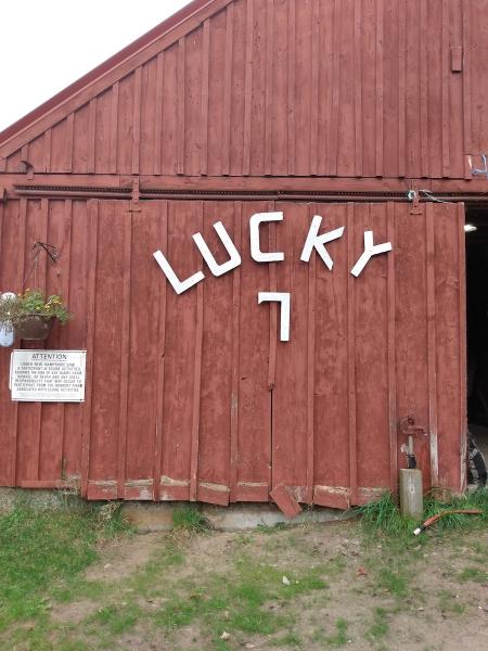 Lucky 7 Stables