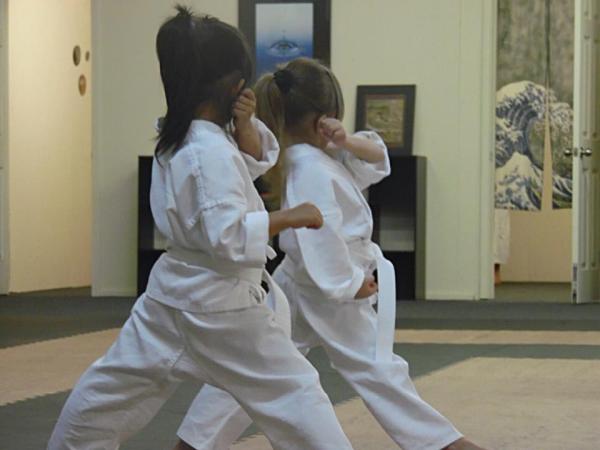 The Woodlands Shotokan Karate