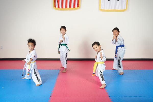 Hanguk Taekwondo