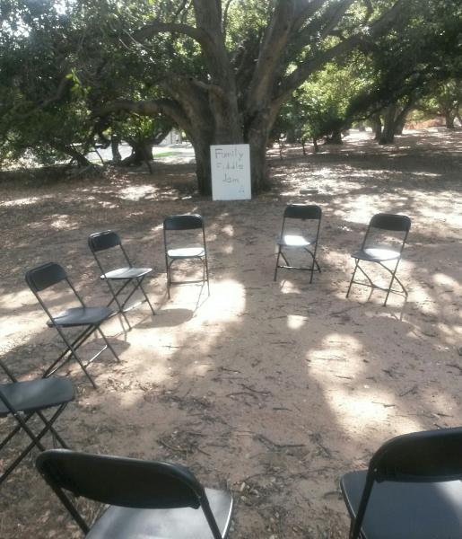 Shanon's Violin Academy