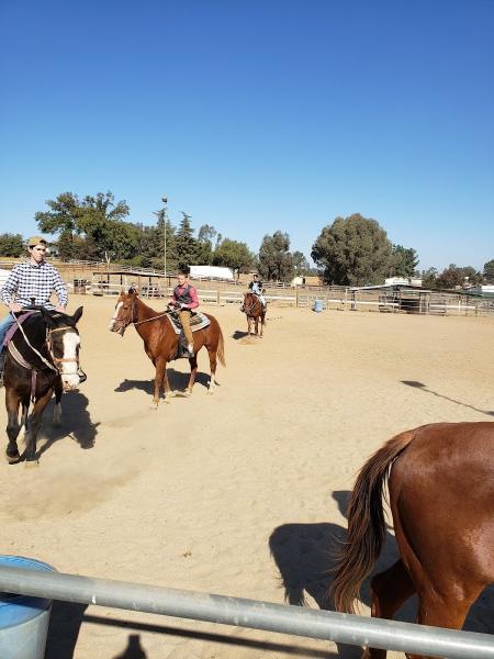 ML Performance Horses