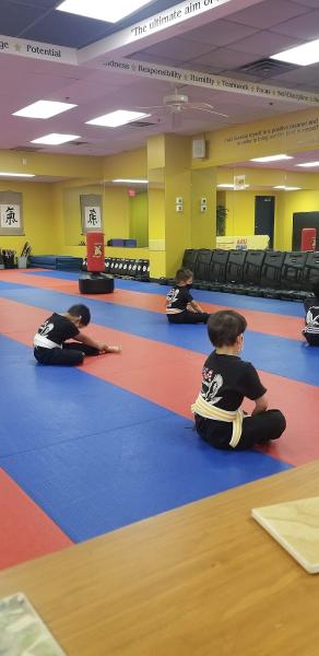 USA Professional Karate Studio