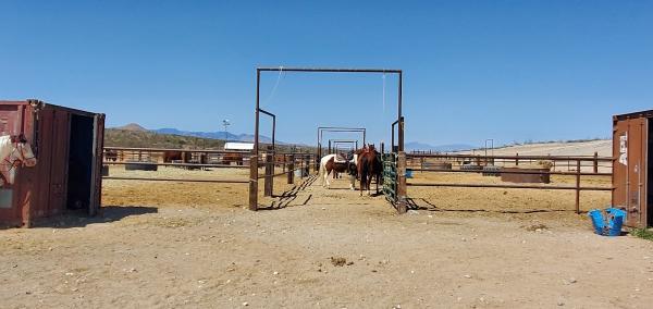 Tombstone Adventures on Horseback