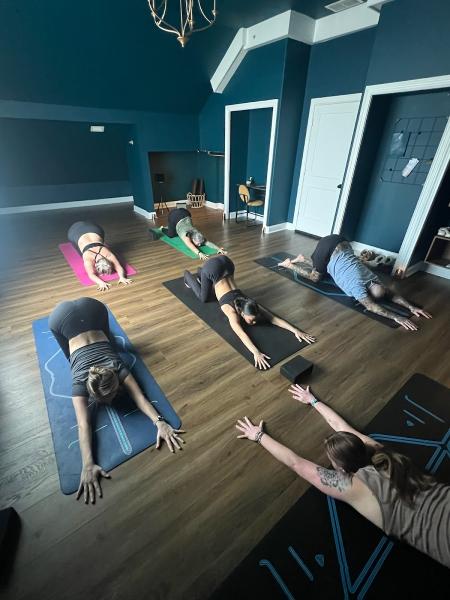 Yoga Elements & Retreats